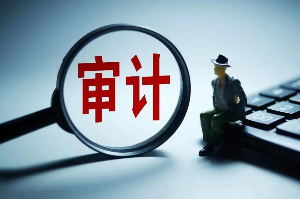 CPA审计深度解析其价值与流程 - 易舟云财务软件